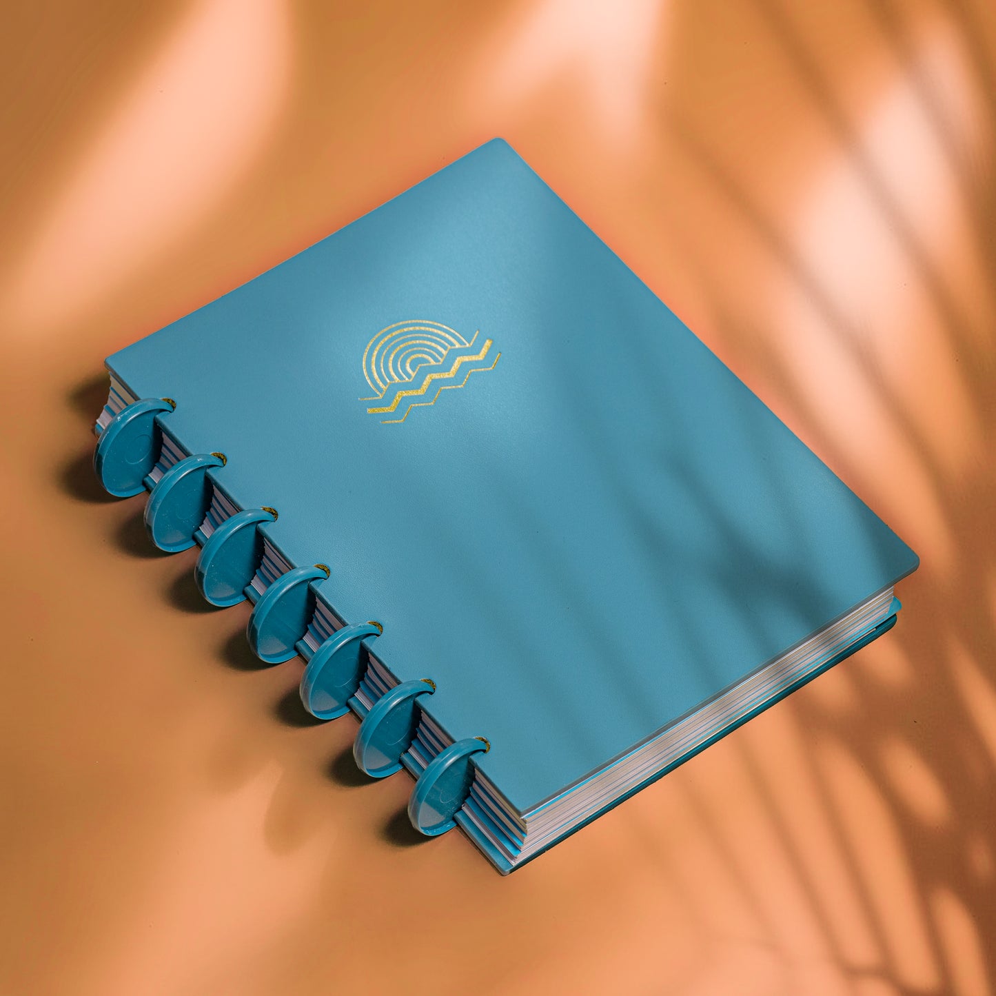 Shuffle - discbound notebook