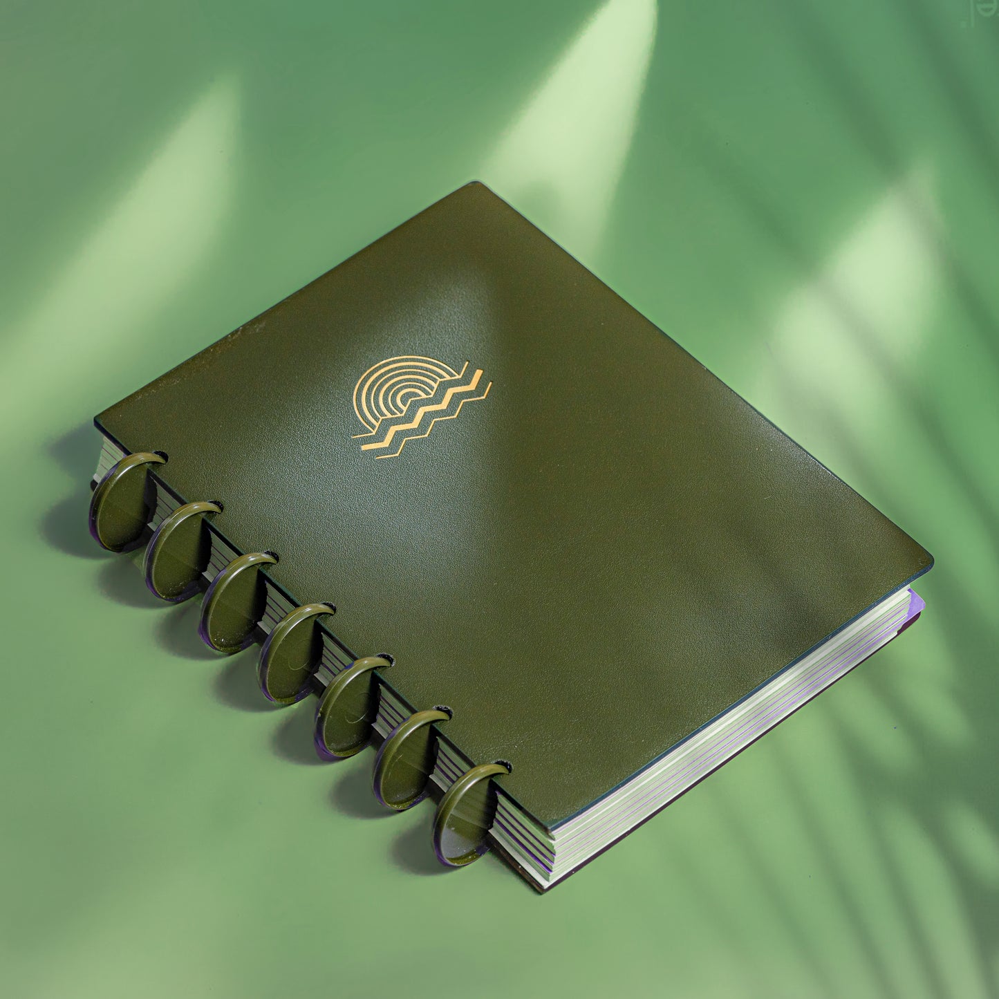 Shuffle - discbound notebook