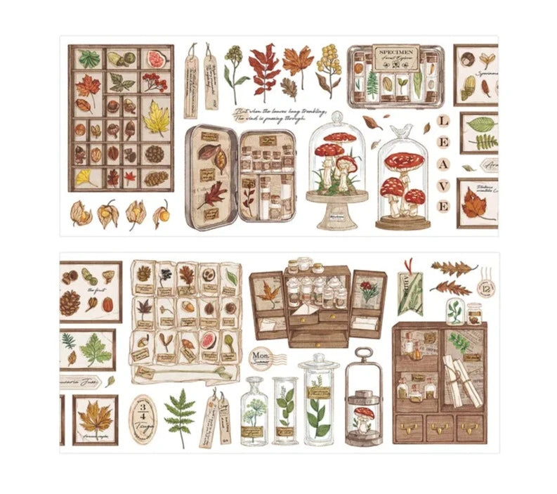 Bandes d'autocollants vintage