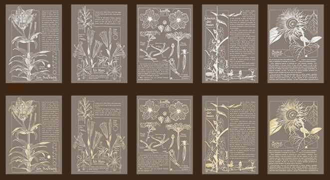 Whimsical Stories - Gilded Sulphuric Paper