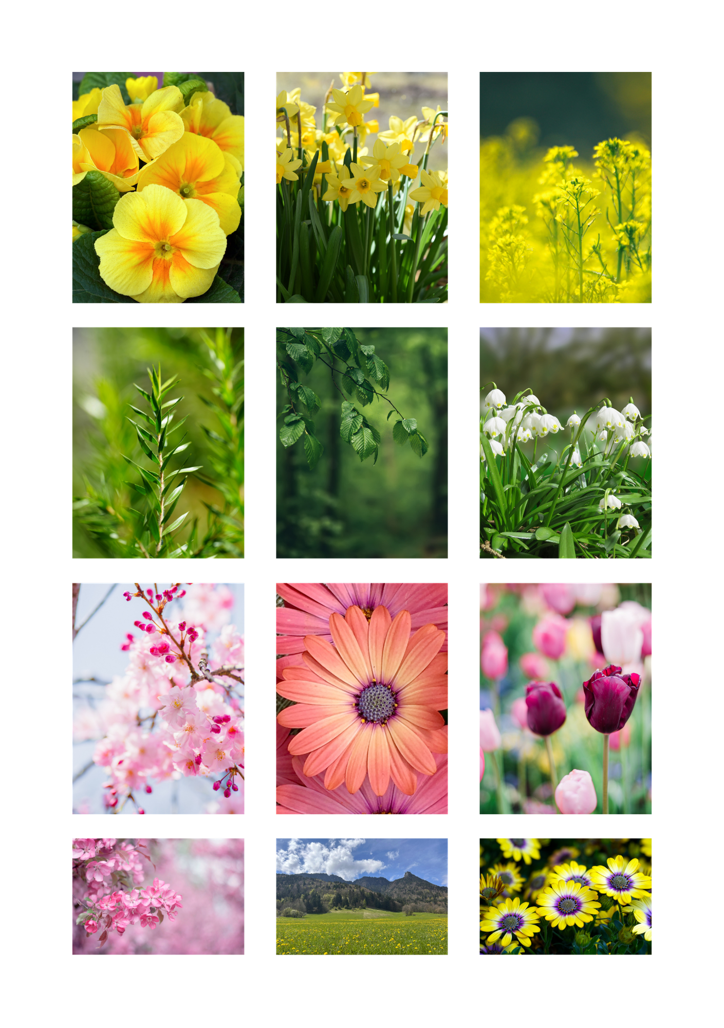 Spring Sticker Book