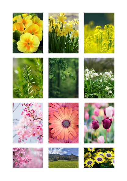 Spring Sticker Book